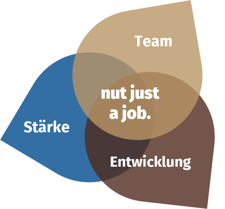 Team.Stärke.Entwicklung.